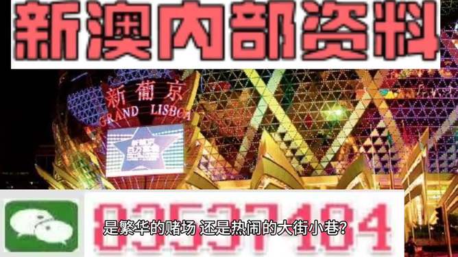 新澳资料大全正版2025金算盘123期详解，探索数字世界的秘密,新澳资料大全正版2025金算盘123期 10-20-30-38-40-45F：03