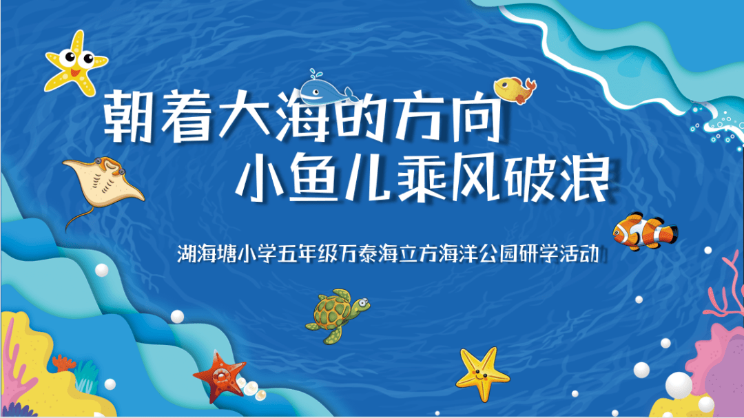 小鱼儿玄机二站资料提供资料详解，探索第002期的秘密与机遇（关键词，17-19-31-39-40-46A与机遇码数26）,小鱼儿玄机二站资料提供资料002期 17-19-31-39-40-46A：26