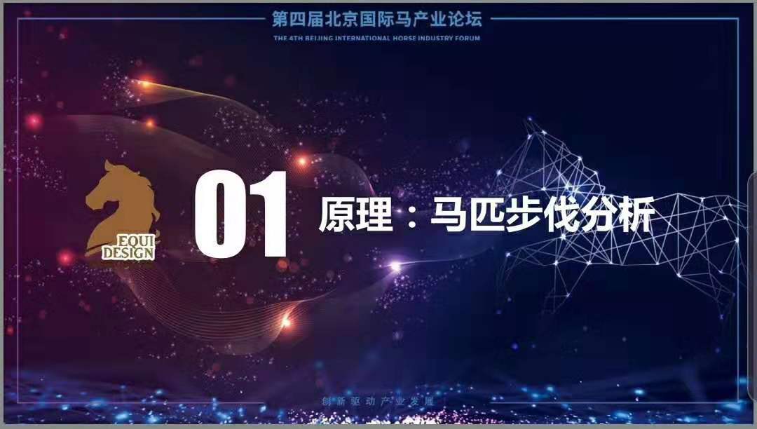 探索澳门特马，2025年第049期的神秘面纱与数字背后的故事,2025年澳门特马今晚开奖049期 06-11-22-36-39-49N：34