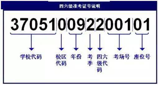 澳门4949最快开奖结果029期，揭晓幸运数字的魅力与期待,澳门4949最快开奖结果029期 16-09-04-40-24-26T：18